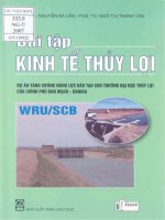 Bài tập kinh tế thuỷ lợi