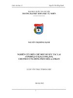 nghiên cứu điều chế một số xúc tác lai z pt sio2  y al2o3.x so4.zro2 cho phản ứng đồng phân hóa n-ankan