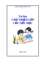 TÀI LIỆU CHỦ NHIỆM LỚP CẤP TIỂU HỌC