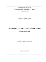 nghiên cứu vai trò của sét hữu cơ trong sơn chống hà