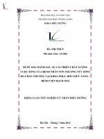bước đầu đánh giá sự cải thiện chất lượng cuộc sống của bệnh nhân tổn thương tủy sống do chấn thương tại khoa phục hồi chức năng bệnh viện bạch mai