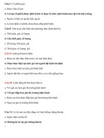 trắc nghiệm cơ bản thị trường chứng khoán