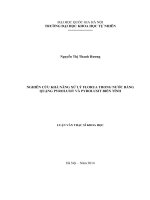 nghiên cứu khả năng xử lý florua trong nước bằng quặng pyrolusit và pyrolusit biến tính