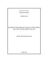 giải pháp sử dụng hiệu quả vốn đầu tư phát triển ở tổng công ty hàng không việt nam