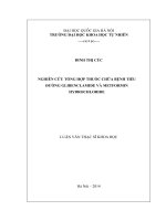 nghiên cứu tổng hợp các dẫn xuất của triterpenoit khung lupan ’’ thành “ nghiên cứu tổng hợp thuốc chữa bệnh tiểu đường glibenclamide và metformin hydrochloride