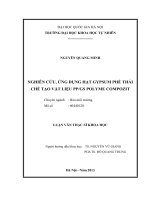 nghiên cứu, ứng dụng hạt gypsum phế thải chế tạo vật liệu pp gs polyme compozit