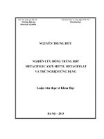 nghiên cứu đồng trùng hợp matacrylic axit-metyl metacrylat và thử nghiệm ứng dụng
