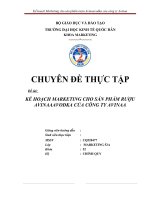 kế hoạch marketing cho sản phẩm rượu avinaaavodka công ty avinaa