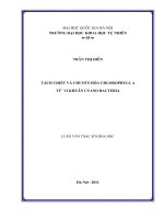 tách chiết và chuyển hóa chlorophylla từ vi khuẩn cyano bacteria