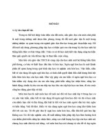 hình thành và phát triển ngôn ngữ hóa học ở lớp 8 cho học sinh dân tộc các trường trung học cơ sở tỉnh sơn la 1