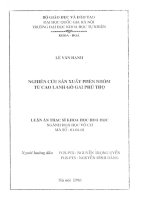 nghiên cứu sản xuất phèn nhôm từ cao lanh gò gai phú thọ