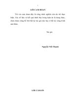 Mô phỏng số dòng chảy và dự báo xói cục bộ trụ cầu