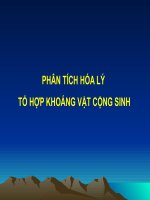PHÂN TÍCH hóa lý  tổ hợp KHOÁNG vật CỘNG SINH