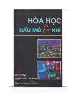 hóa học dầu mỏ và khí đinh thị ngọ