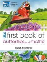 first book of butterflies and moths