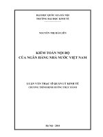 kiểm toán nội bộ của ngân hàng nhà nước việt nam