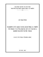 nghiên cứu khả năng hấp phụ cr trên vỏ trấu và ứng dụng xử lý tách cr khỏi nguồn nước thải