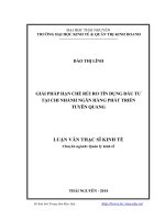 Giải pháp hạn chế rủi ro tín dụng đầu tư tại chi nhánh ngân hàng phát triển tuyên quang