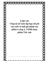 Luận văn công tác kế toán tập hợp chi phí sản xuất và tính giá thành sản phẩm ở công ty TNHH dược phẩm việt anh