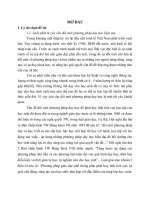 sử dụng phương pháp graph để dạy học phần di truyền học sinh học lớp 12 thpt