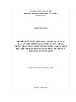 nghiên cứu phát triển quy trình phân tích các cation trong mẫu nước và ứng dụng trong quan trắc chất lượng nước mặt sử dụng hệ thiết bị điện di mao quản theo nguyên tắc bơm mẫu tuần tự
