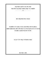 nghiên cứu khả năng hấp phụ ion florua trên khoáng sét yên bái và ứng dụng xử lý tách florua khỏi nguồn nước