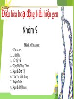 so sánh điều hòa hoạt động gen