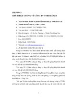 Báo cáo thực tập tại công ty TNHH Lê Gia