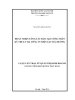 hoàn thiện công tác đào tạo công nhân kỹ thuật tại công ty điện lực hải dương