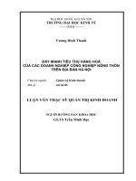 đẩy mạnh tiêu thụ hàng hóa của các doanh nghiệp công nghiệp nông thôn trên địa bàn hà nội