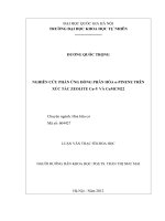 nghiên cứu phản ứng đồng phân hóa α-pinene trên xúc tác zeolite cu-y và cumcm22