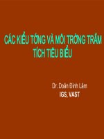 Bài giảng các KIỂU TƯỚNG và môi TRƯỜNG TRẦM TÍCH TIÊU BIỂU