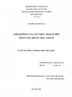 ảnh hưởng của cấu trúc zeolít đến phản ứng metyl hoá anilin