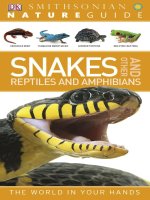 snakes and other reptiles and amphibians
