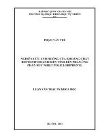 nghiên cứu ảnh hưởng của khoáng chất bentonit di linh biến tính đến phản ứng phân hủy nhiệt policlobiphenyl