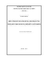 biến tính sét di linh dùng cho phản ứng phân hủy một số dung môi hữu cơ ô nhiểm