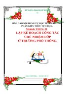 BÁO CÁO NỘI DUNG TỰ HỌC TỰ BỒI DƯỠNG PHẦN KIẾN THỨC TỰ CHỌN. Module THCS: 31 LẬP KẾ HOẠCH CÔNG TÁC  CHỦ NHIỆM LỚP  Ở TRƯỜNG PHỔ THÔNG