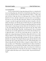 cơ sở cơ học thủy khí và khả năng ứng dụng động cơ gió