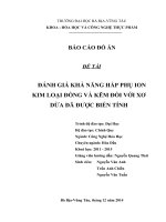 tài liệu ĐÁNH GIÁ KHẢ NĂNG HẤP PHỤ ION KIM LOẠI ĐỒNG VÀ KẼM ĐỐI VỚI XƠ DỪA ĐÃ ĐƯỢC BIẾN TÍNH