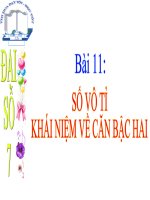 bài giảng đại số 7 chương 1 bài 11 số vô tỉ. khái niệm về căn bậc hai