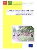 mô hình chăn nuối gà hiệu quả kinh tế và bảo vệ môi trường