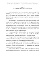 phương pháp giải nhanh và chuyên sâu dạng bài toán điện phân