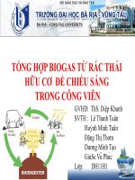 TỔNG HỢP BIOGAS TỪ RÁC THẢI HỮU CƠ  ĐỂ CHIẾU SÁNG TRONG CÔNG VIÊN
