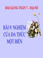 bài giảng đại số 7 chương 4 bài 9 nghiệm của đa thức một biến