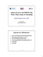 quản trị rủi ro tại NHTM việt nam thực trạng và giải pháp