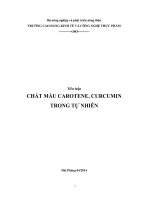 Tiểu luận chất màu carotene và curcumin trong tự nhiên
