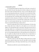 đề tài nhận diện những  vận động ,phát triển của tin phát thanh hiện nay