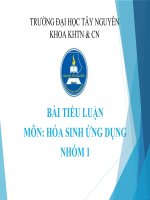 Bài thuyết trình Tiểu luận môn Hóa sinh ứng dụng: Sinh tổng hợp kháng sinh Streptomycin