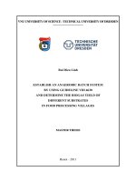 establish an anaerobic batch system by using guideline vdi 4630 and determine the biogas yield of different substrates in food processing villages