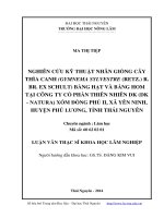 nghiên cứu kỹ thuật nhân giống cây thìa canh bằng hạt và bằng hom tại công ty cổ phần thiên nhiên dk  xóm đồng phủ ii, xã yên ninh, huyện phú lương, tỉnh thái nguyên